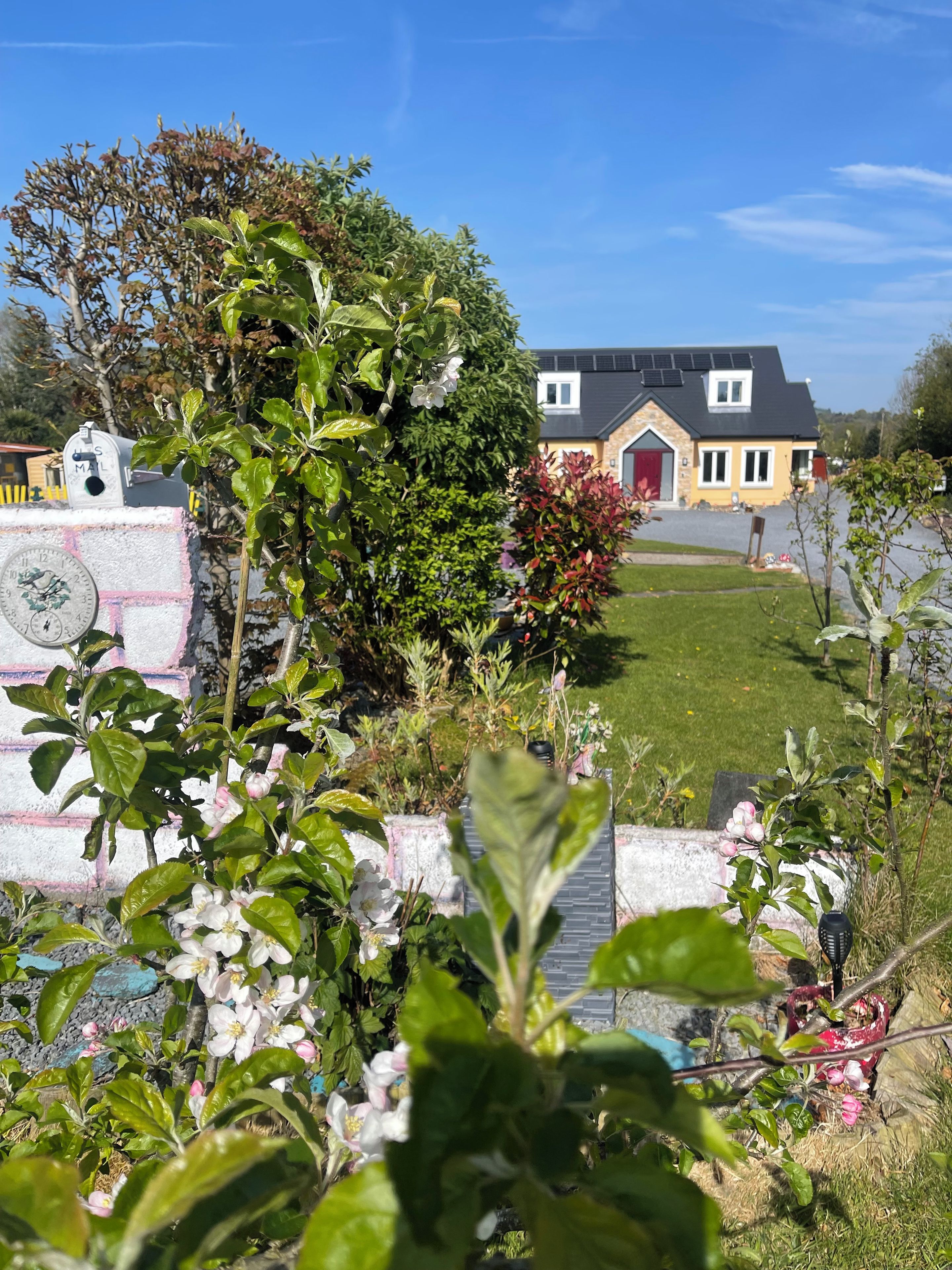 A residential property with a well-maintained lawn, a mailbox, and a house with a red door.
