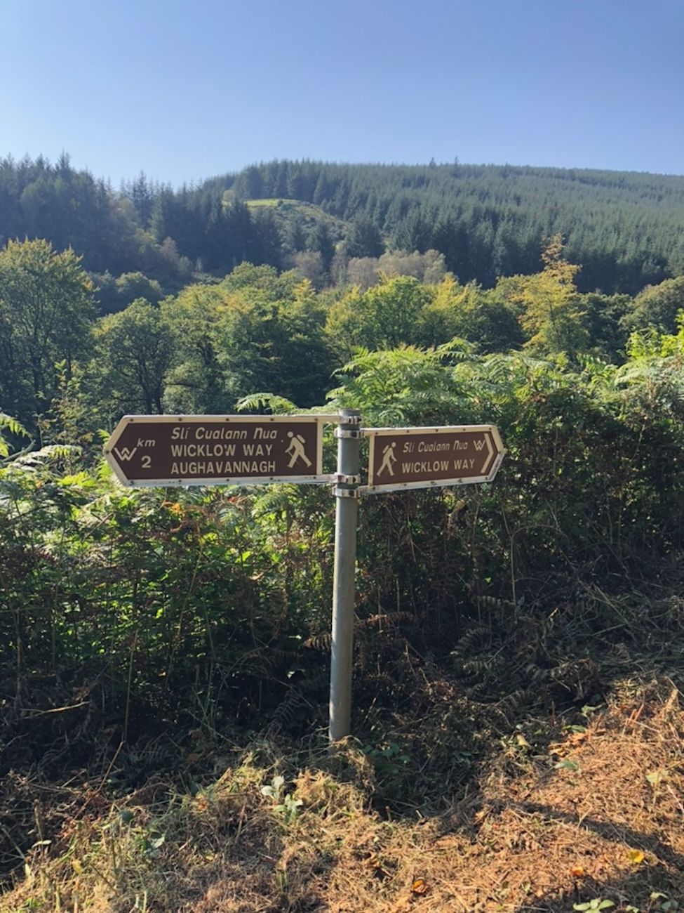 A directional signpost with two arrows pointing towards Wicklow Way and Aughavannagh, surrounded by dense greenery and a forested hill in the background.