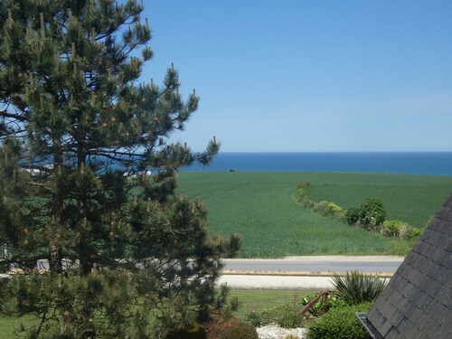 House facing the sea, with swimming pool and SPAOMAHA GITES