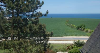 House facing the sea, with swimming pool and SPAOMAHA GITES