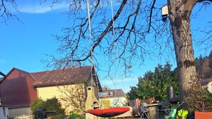 A backyard with a toy dump truck, a red boat, and a tree. - Idyllischer Bauernhof 1 (Wildensbuch)