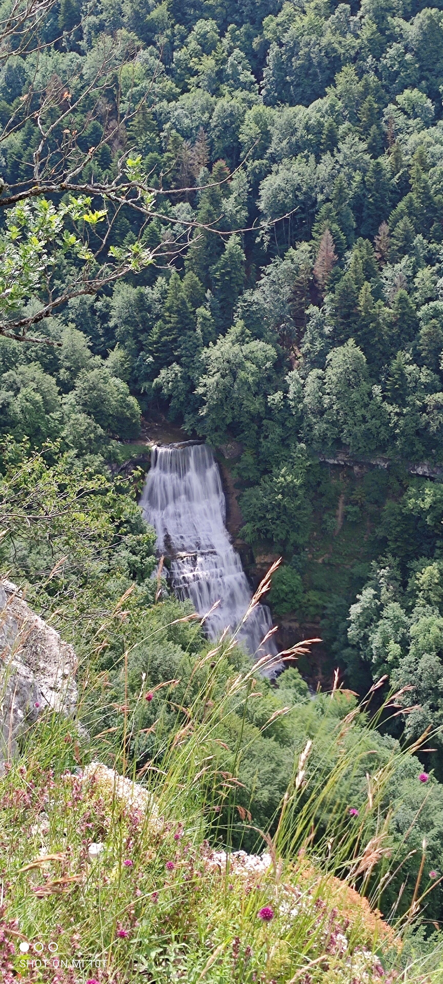 A waterfall surrounded by dense forest.