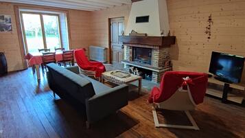 Tv, eldstad och böcker