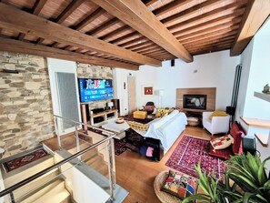 TV connectée, cheminée, lecteur de DVD, livres