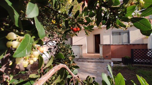 Un jardín con un camino de piedra que conduce a un edificio de fachada marrón y puerta blanca.