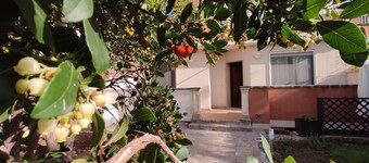 Butterfly cottage