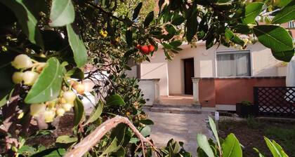 Butterfly cottage