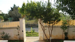 Un camino pavimentado que lleva a la entrada de un edificio, con una pared blanca y un árbol al fondo.