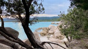 Toallas de playa 
