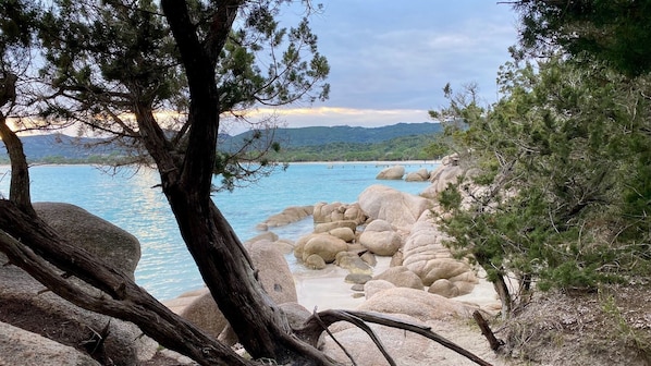 A coastal landscape with large boulders, trees, and a clear view of the sea.