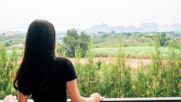 Superior-Doppelzimmer, 1 King-Bett | Minibar, Schreibtisch, laptopgeeigneter Arbeitsplatz, kostenloses WLAN