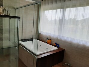 Bathtub, jetted tub, hair dryer, bidet