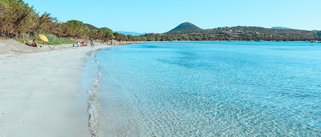 Ubicación cercana a la playa, tumbonas y toallas de playa