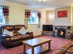 Fireplace - 3 bedroom accommodation in Llandrindod Wells (Llandrindod Wells)