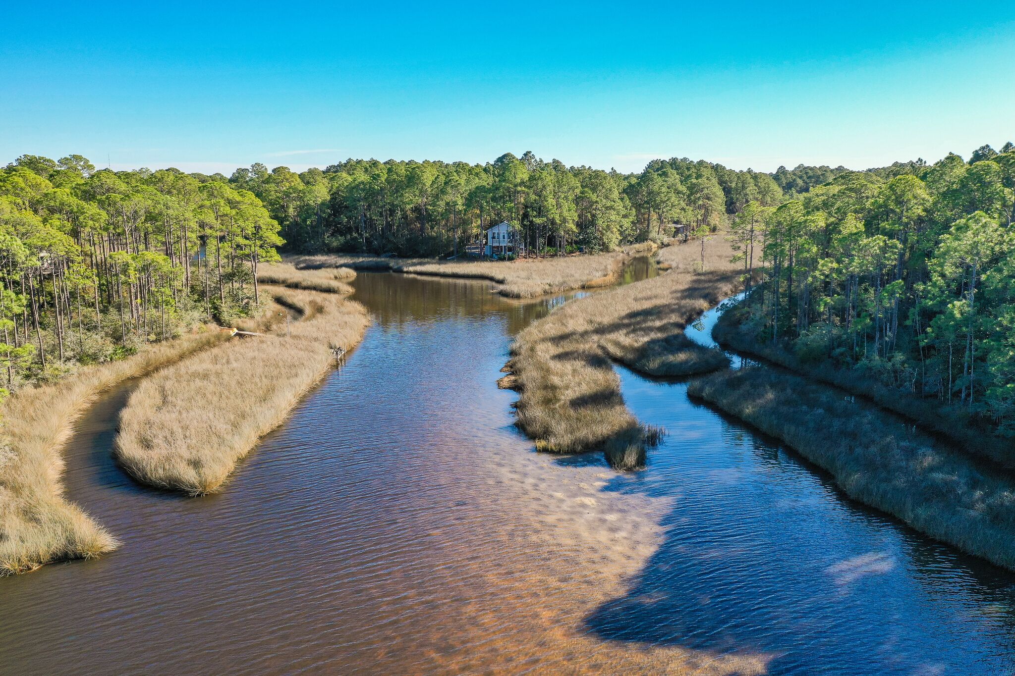 Un río serpentea por una zona boscosa, con una casa en la orilla derecha.