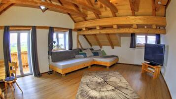 Fernseher