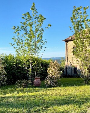 Un edificio in pietra con tetto in tegole, circondato da vegetazione rigogliosa e un cielo azzurro intenso.