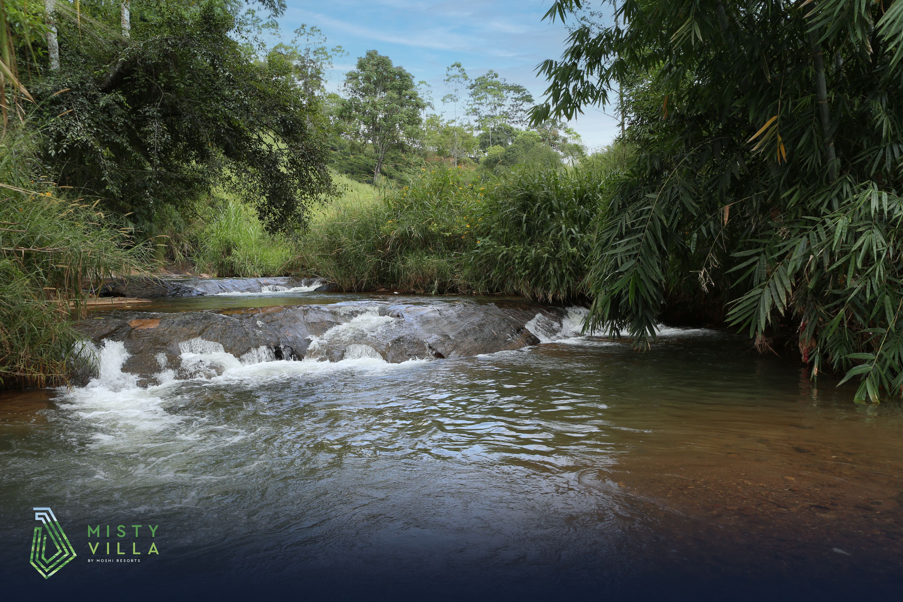 A natural water feature with a waterfall, surrounded by lush greenery and trees.