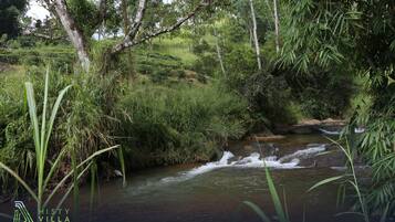 A natural landscape with a flowing stream, dense greenery, and trees.