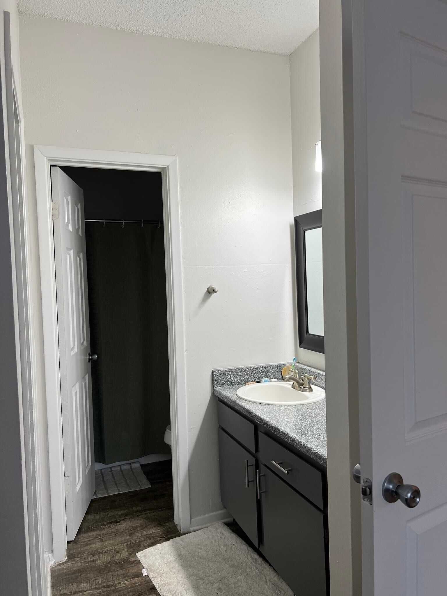 Cute Southern Austin rental (ideal traveling nurses)