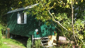 Una casa móvil verde con el número 25 en la lateral, un pequeño porche y un árbol delante.