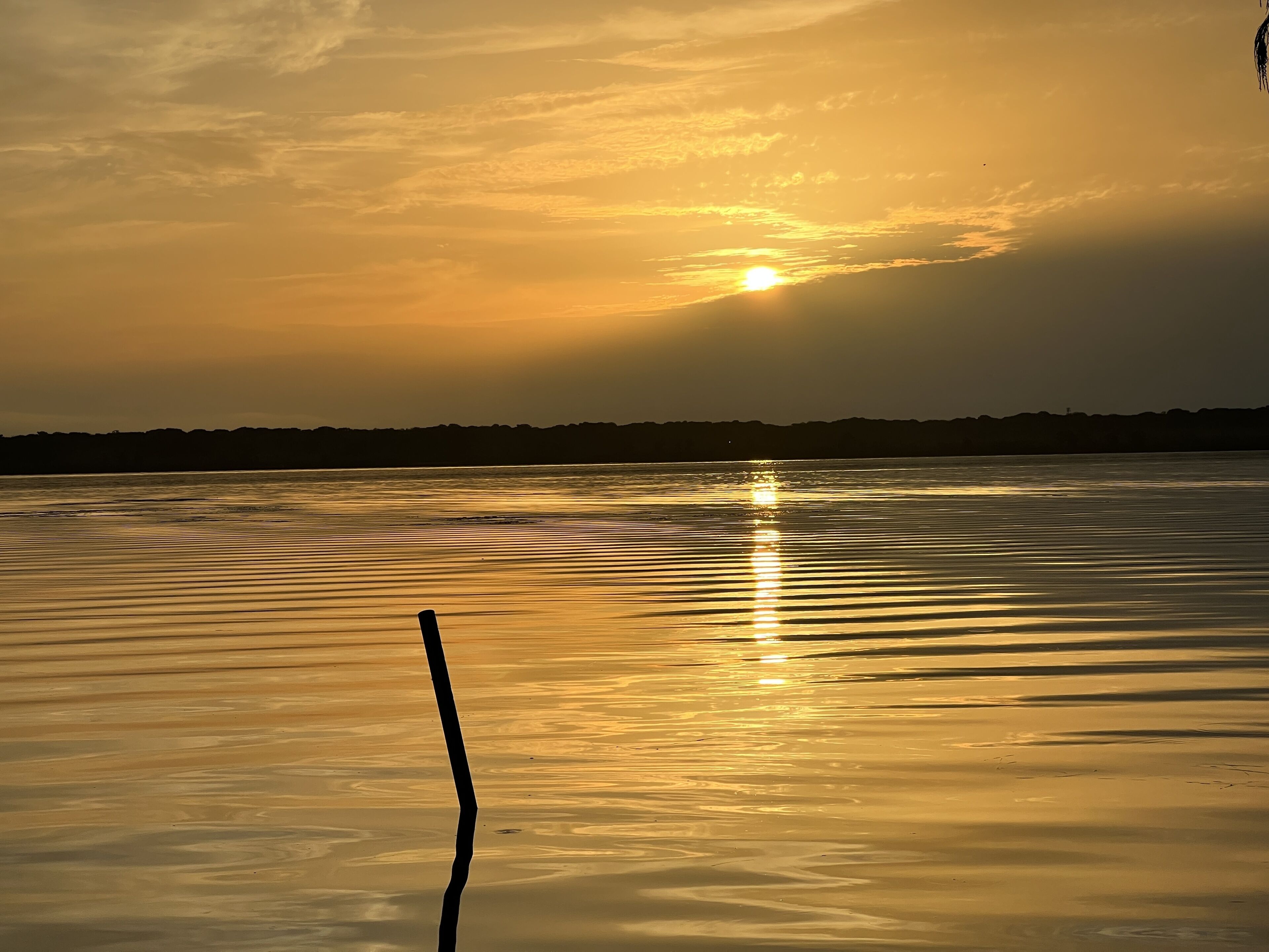 A calm body of water reflecting the sun during sunset.