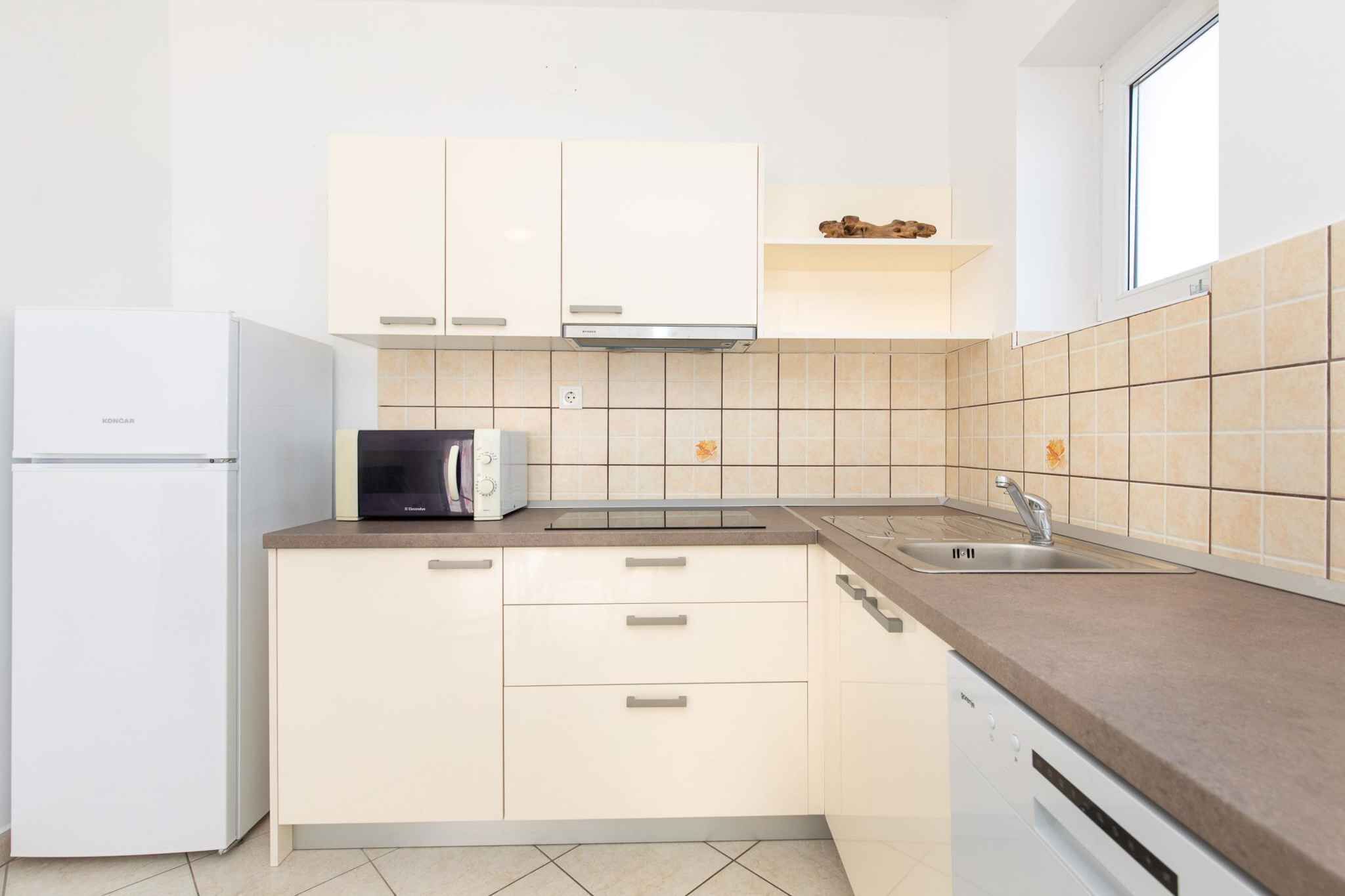 Fridge, stovetop, freezer