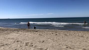 サンラウンジャー、ビーチタオル