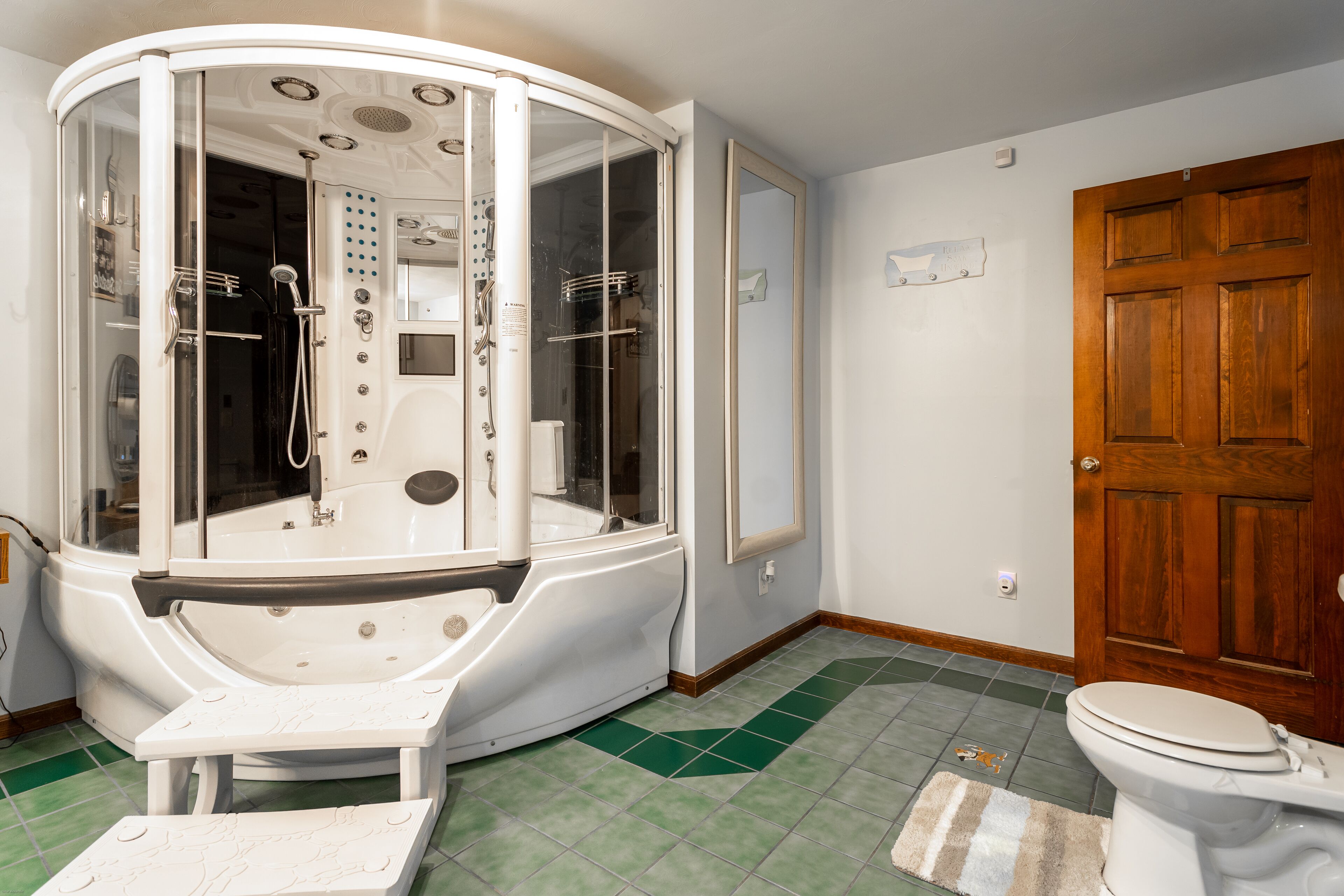 A bathroom with a glass-enclosed shower, a toilet, and a wooden door.