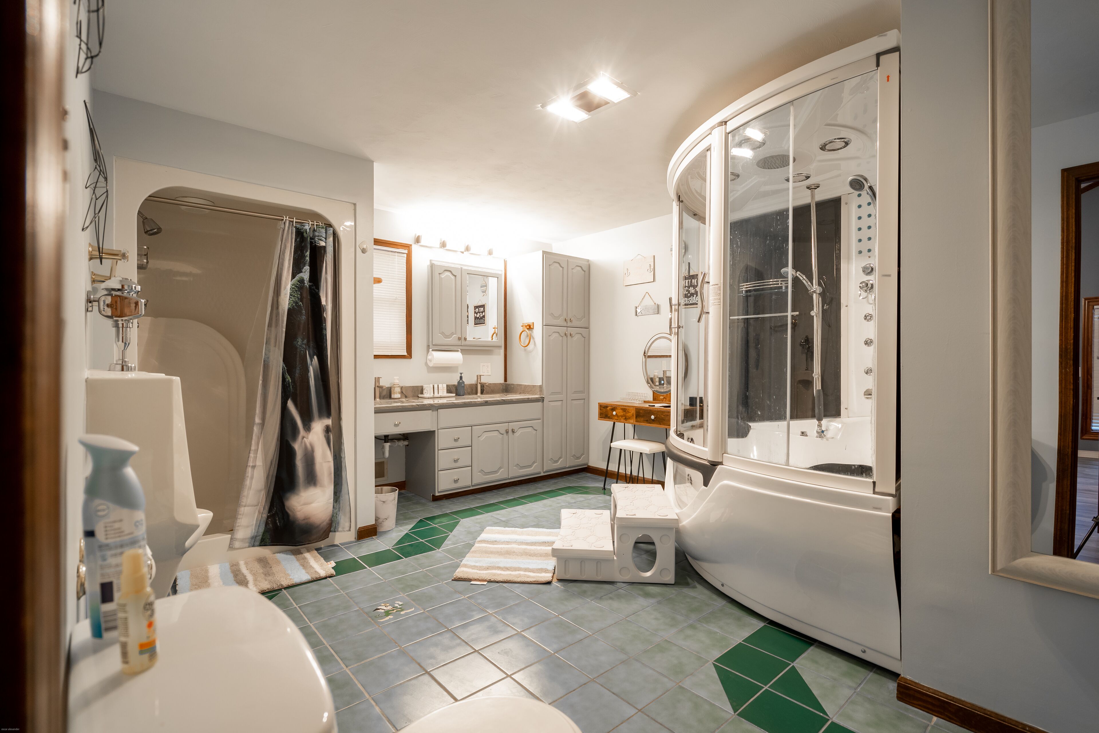 Shower, jetted tub, hair dryer, towels
