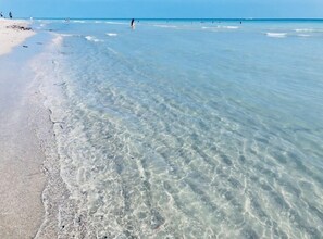 A beach with clear shallow waters and a sandy shore. - Beach Tide (Hollywood)