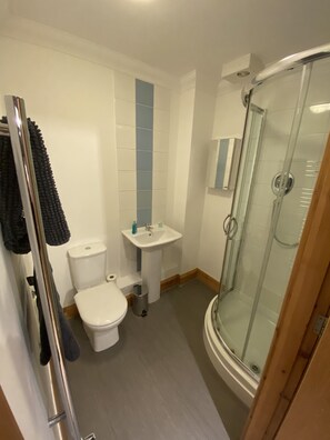 Hair dryer, towels, toilet paper