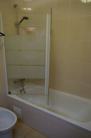 Shower, hair dryer, bidet, towels