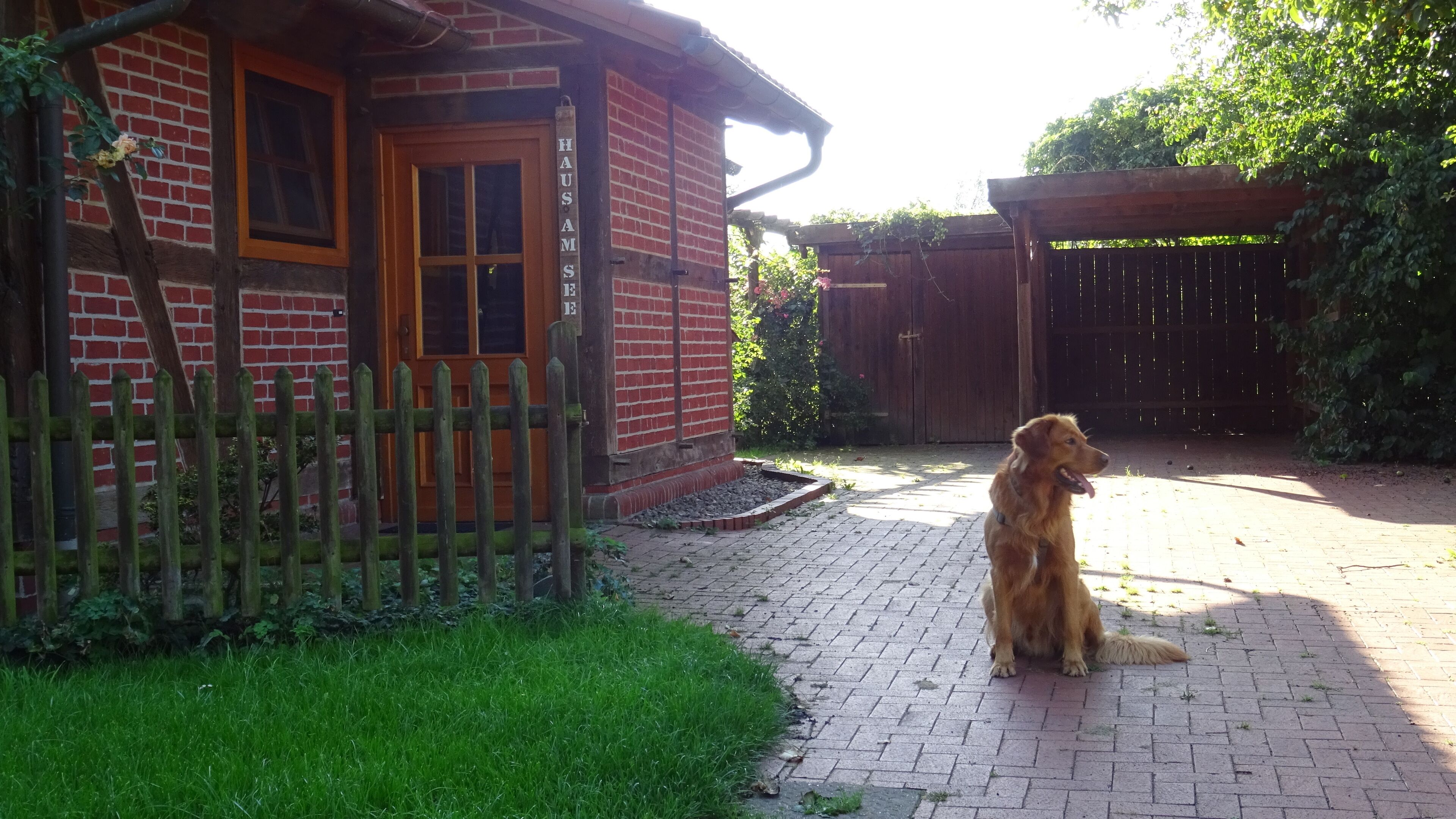 A brick house with a wooden fence, a dog sitting on the driveway, and a wooden pergola in the background.