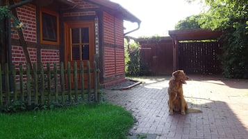 A brick house with a wooden fence, a dog sitting on the driveway, and a wooden pergola in the background.