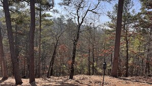 A forested area with a wooden table and two blue chairs. - Rustic Boondock - Peaceful tiny home on 143 acres! (Eureka Springs)