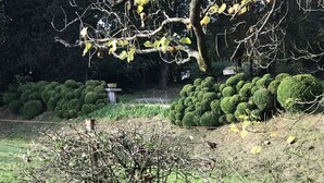 A garden with neatly trimmed bushes and a stone structure. - Family chateau in the middle of its large wooded park. (Hugleville-en-Caux)