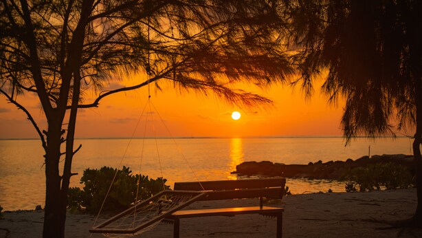 Une scène de plage avec un hamac et un banc, donnant sur l’océan au coucher du soleil.