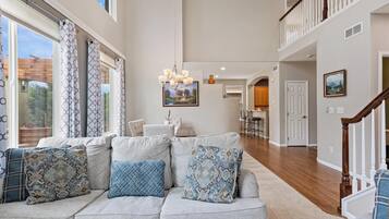 TV connectée, cheminée, jeux vidéo, lecteur de DVD