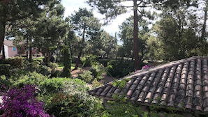 A garden with various plants and a tiled roof. - Cozy villa 🌞, air-conditioned, 5' walk to San Ciprianu beach 🌊 (Lecci)