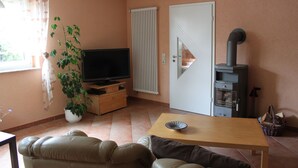 Ein Wohnzimmer mit Sofa, Fernseher, Blumentopf, Kamin und einer Tür mit Fenster.