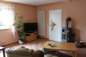 TV, fireplace, DVD player, books