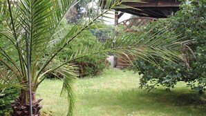 Ein üppiger Garten mit einer Palme, einer Holzkonstruktion und einer Rasenfläche.