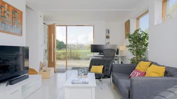 Smart TV, fireplace, DVD player, books