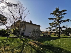 A house with a garden, a lawn, and a large tree. - Gaillac House (Gaillac)