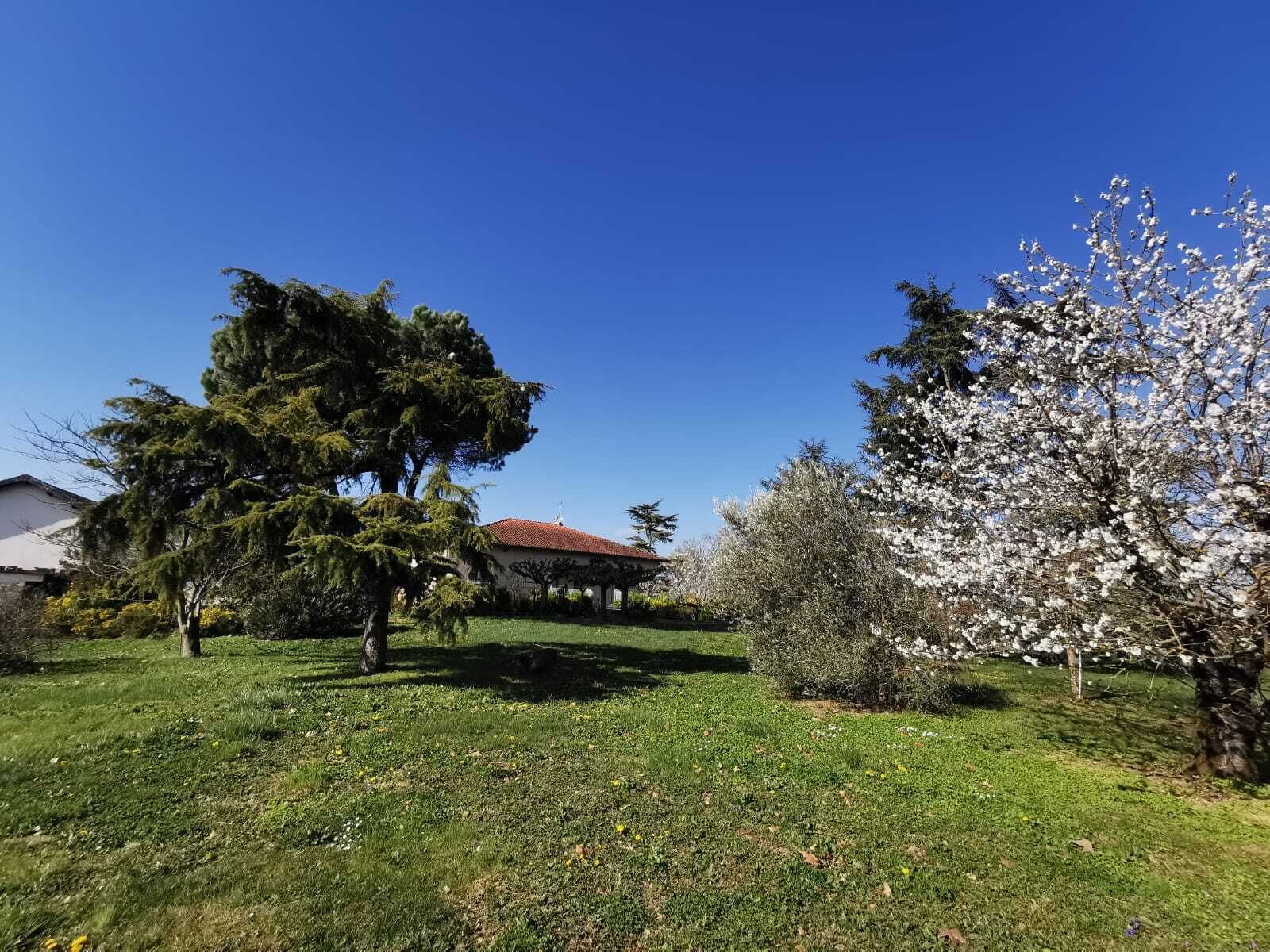 Un giardino con un edificio sullo sfondo.