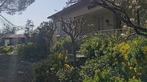 Un immeuble résidentiel doté d’un jardin, entouré d’arbres et d’arbustes.