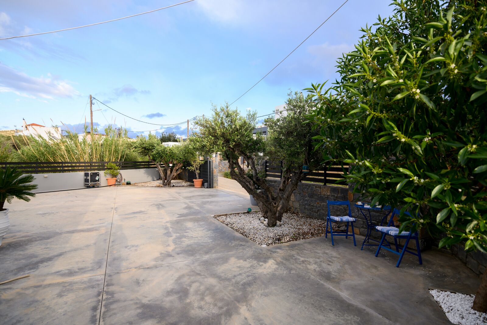 Un espace patio avec un sol en béton, des plantes en pot et des chaises bleues.