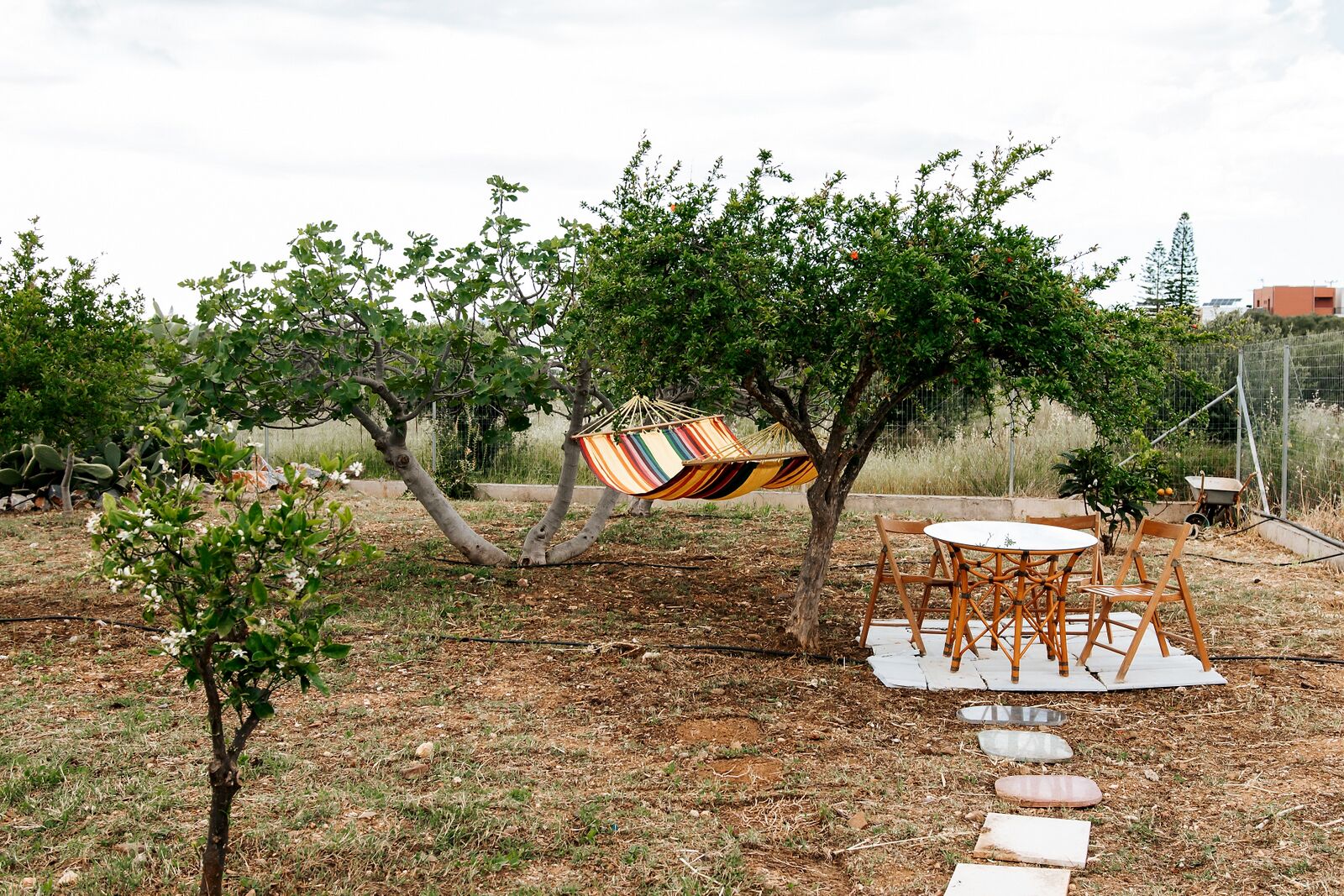 Áreas de la propiedad