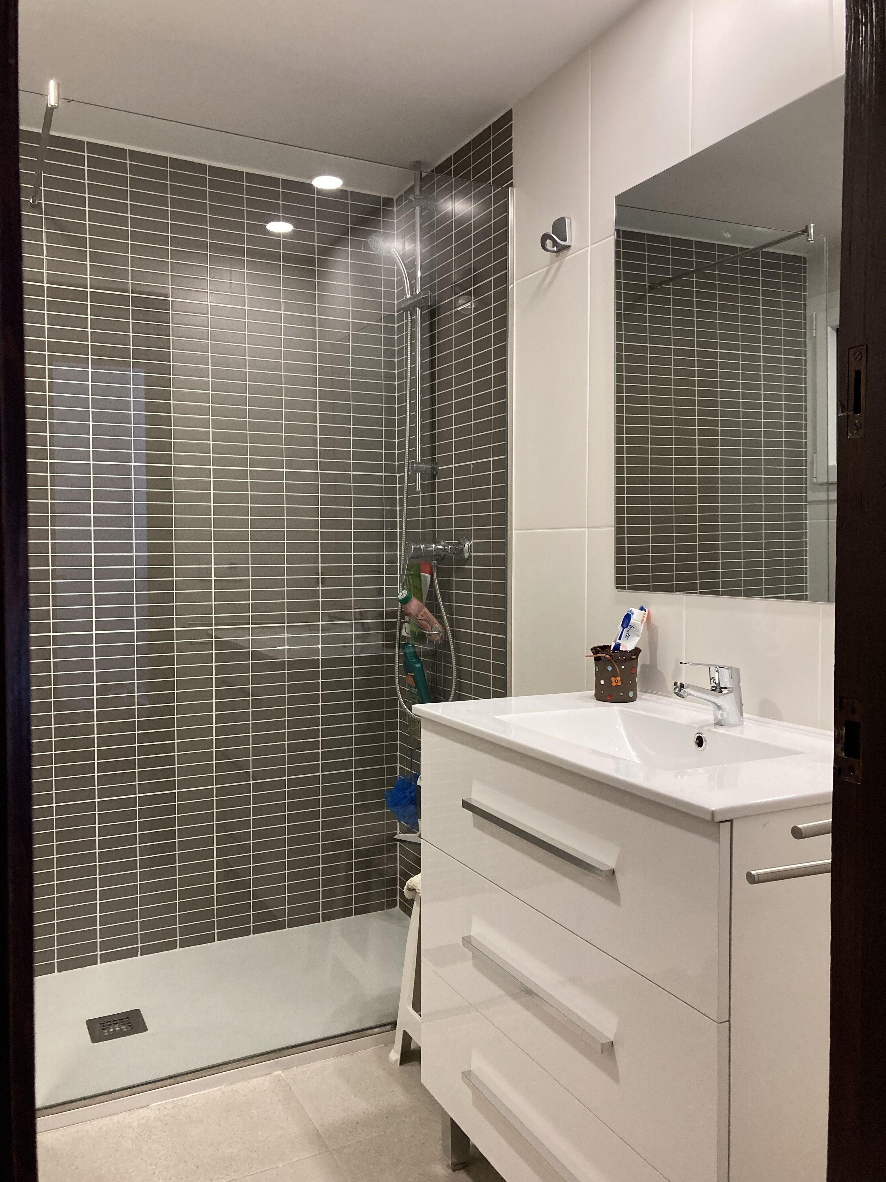 Shower, jetted tub, hair dryer, bidet